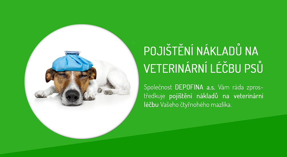 Pojištění psů na veterinární kliniky